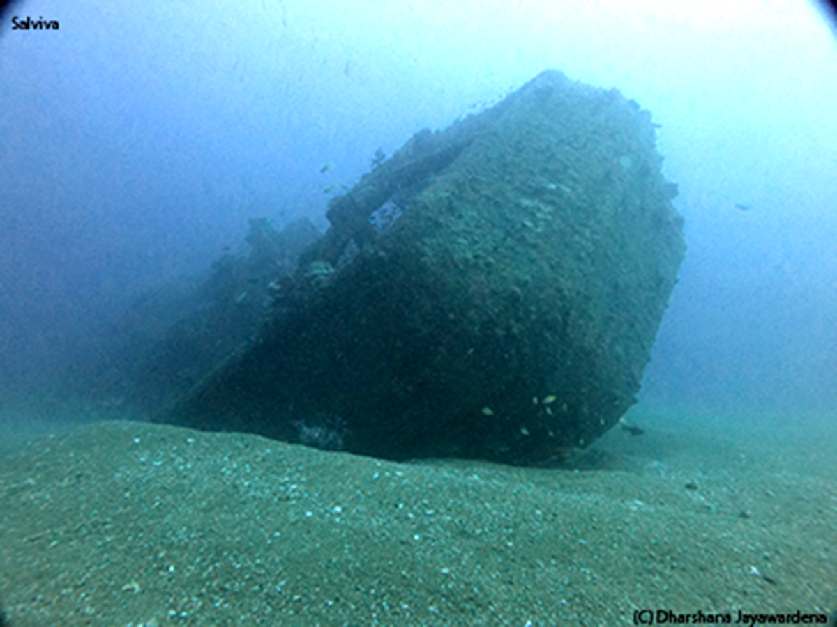 The Stern
